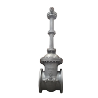 Vanne à guillotine à coin DN600 GOST en acier au carbone Wcb DN50 à DN1200 Actionneur pneumatique électrique / Actionneur à engrenages OS&Y pour l'eau, la vapeur, l'huile