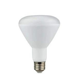 BR20 BR30 BR40 110v/220v لمبات LED