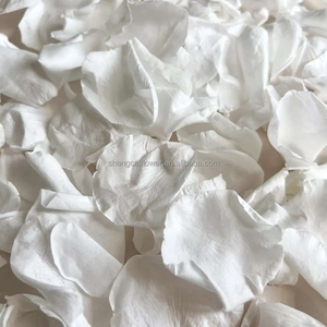 Petali di Rosa Naturali Bianchi Puri per Decorazioni Floreali, Coriandoli Biodegradabili per Matrimoni, Petali Veri di Fiori Conservati - Product Image 4
