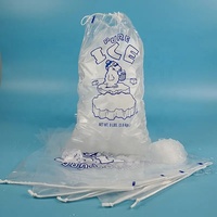 Sac à glaçons jetable en plastique non tissé de qualité alimentaire avec cordon de serrage, impression par gravure, biodégradable, recyclable, 8lb/10lb/20lb pour la maison