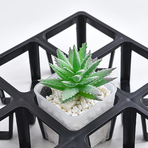 Plateau de semis en plastique rigide durable pour 12/20 alvéoles, support pour pots de plantes de calibre 5CM et 6CM, plateau de pépinière carré - Product Image 6