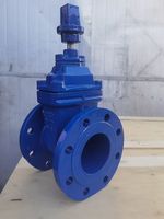 Amerikanisches Standard-Flansch-Absperrschieber-Ventil mit elastischem und metallischem Sitz für die kommunale Wasserversorgung