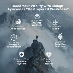 OEM fabbrica diretta Himalayan Shilajit estratto capsule integratore naturale a base di erbe per il supporto cognitivo energetico-adattogeno per gli uomini - Product Image 3