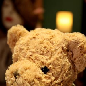 Nuevo Oso de Peluche Vintage con Forro de Franela y Malla, Juguete de Peluche para Aliviar el Estrés, Regalo - Product Image 3