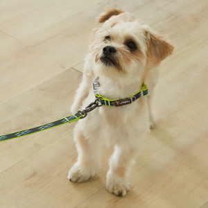 Ufbemo Phản Quang Pet Dây Xích Mềm Bền Con Chó Dây Xích Cho Nhỏ Vừa Lớn Con Chó Bán Buôn Cho Chạy Đi Bộ Con Chó Khai Thác Bộ - Product Image 5