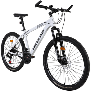 <b>Cheap</b> Price Hot Sale Men Mountain Bike Steel Body Disc Outdoor Sports Cycling for Adult Daily Commute - Product Image 1