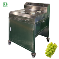 Dq Guangzhou Daqiao Industriële Automatische Druivensnijmachine Commerciële Motor Core Commerciële Productielijn Snijden