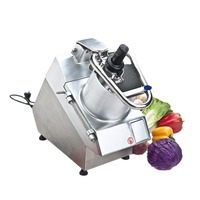Multifunctionele elektrische groentesnijder/commerciële aardappel- en uien snijmachine/groente- en fruitsnij- en raspmachine