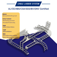 Système d'échelle de câbles Hdmann certifié DNV BV en acier inoxydable 316L, traité par trempage et passivation, pour station de production d'énergie hydroélectrique