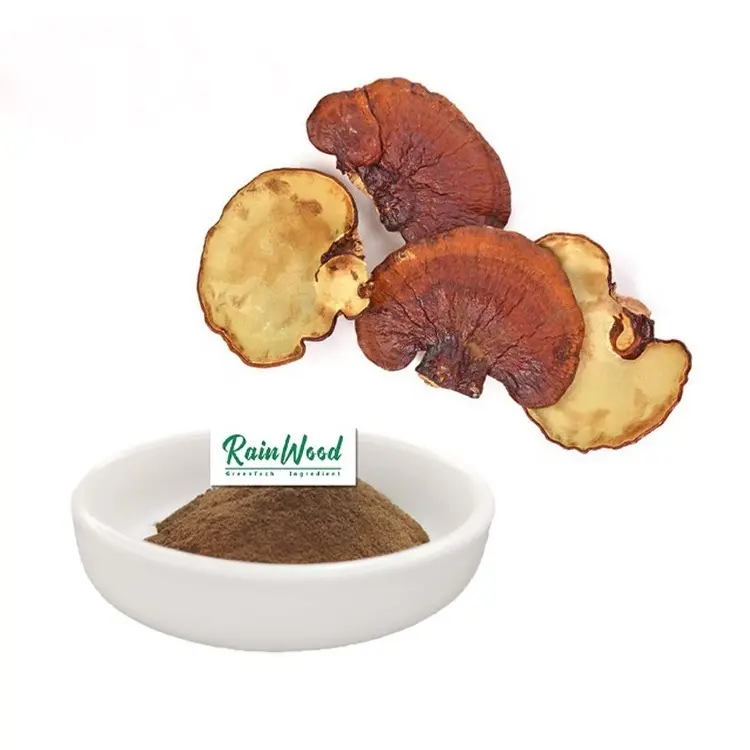 Polvo de extracto de Reishi de alta calidad, polvo de extracto de Ganoderma Lucidum, polvo de extracto de hongo Reishi Natural puro