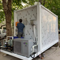 Contenedor Refrigerado Portátil de 20 pies con Certificación CE, Panel Solar, Compresor Silencioso para Carne, Pescado, Mariscos, Verduras y Frutas