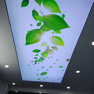 Panneaux en PVC ZHIHAI Décoration Intérieure Commerciale Plafonds Extensibles en PVC - Product Image 4