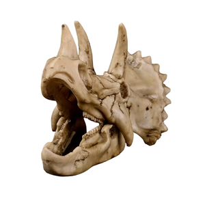 Triceratops resina para calavera SKD06 decoración de escritorio de animales de moda para oficina o Artesanías de resina de Halloween - Product Image 5