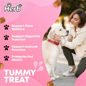 Probióticos para Mascotas OEM ODM Privados para Perros con Prebióticos que Promueven un Microbioma Intestinal Equilibrado - Refuerzan la Salud Inmunológica, Masticables Blandos - Product Image 3