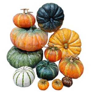 Modello di visualizzazione per fotografia di decorazione della finestra del centro commerciale di Halloween decorazione di frutta artificiale di zucca finta - Product Image 1