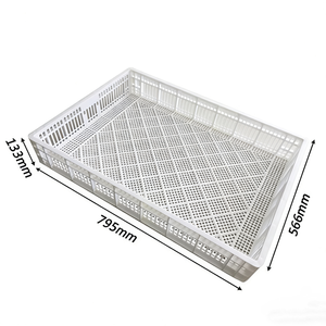 Incubateur automatique pour 150 œufs avec panier d'éclosion en plastique, design moderne, utilisation extérieure, léger et durable - Product Image 2