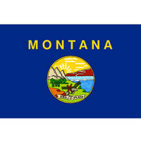 Drapeau national des États-Unis du Missouri en polyester, impression numérique, 90x150cm (3x5ft), avec 2 œillets en laiton, double face, en toile, vente en gros