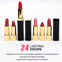 Rouge à lèvres mat minéral végétalien à haute pigmentation, longue tenue, hydratant, imperméable, logo personnalisé OEM/ODM