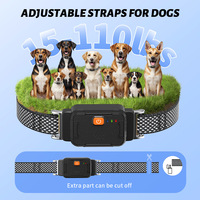 Collar con Rastreador GPS Magnético Mini Premium OEM ODM para Mascotas, con Geocerca en Tiempo Real y Localizador Antipérdida para Perros y Gatos