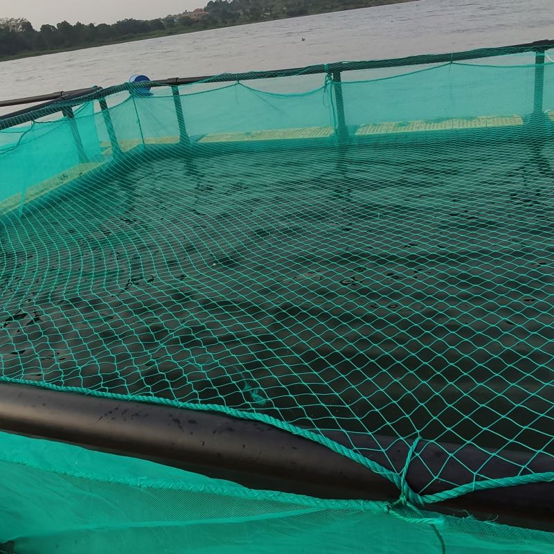Ловушки для рыбалки и сельского хозяйства для морской аквакультуры