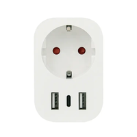 Enchufe inteligente Tuya Wifi enchufe UE 16A con 2 puertos USB y tipo C