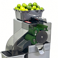 Koude Pers Citroenpers Commerciële Elektrische Automatische Citruspers Machine RVS Filter Hoge Capaciteit Hotels