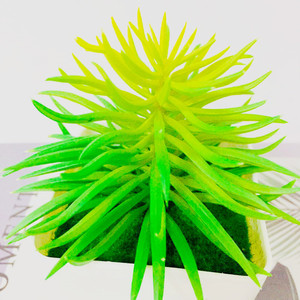 Plante succulente artificielle Qi Xing 12 cm en PVC souple, décoration d'intérieur - Product Image 2