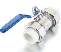 Vanne à boisseau sphérique manuelle D1030 avec joint en PTFE, pression de 16 bars pour l'eau, personnalisable OEM