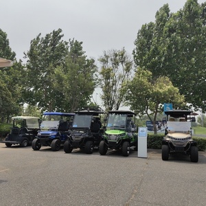 Bak Hải Quan Sang Trọng 6 Chỗ Ngồi Off Road Xe Golf Điện Tham Quan Câu Lạc Bộ Xe 72V Lithium Pin Golf <span class=keywords><strong>Buggy</strong></span> - Product Image 5