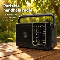 Radio portable rechargeable OEM avec logo personnalisé, moule privé, multi-bandes AM FM TV SW, lecteur de musique USB TF Card, batterie rechargeable DC 5V