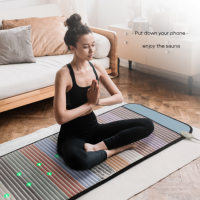 Appareil de thérapie magnétique Pemf Matelas en jade Tapis infrarouge Thérapie Pemf Chakra PEMF Photon Tapis de lit de sauna infrarouge