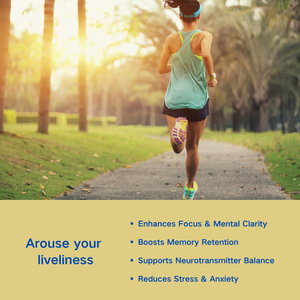 OEM/ODM | สูตรเพื่อสุขภาพสมองขั้นสูง: L-theanine + <span class=keywords><strong>Vitamin</strong></span> B6 Synergy - Product Image 4