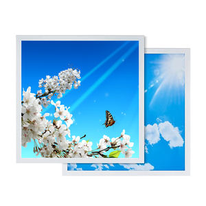 Jiaxing fábrica barato 600*600 603*603 2x2ft Sky Panel de luz de <span class=keywords><strong>techo</strong></span> Panel de luz nube cielo Led <span class=keywords><strong>tragaluz</strong></span> Panel de <span class=keywords><strong>techo</strong></span> - Product Image 5