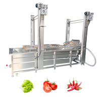 Industriële wasmachines voor gember, fruit en groenten