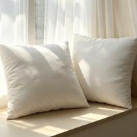Coussin décoratif en microfibre avec rembourrage en coton pour canapé-lit, alternative au duvet, insert de coussin 20x20, lot de 2