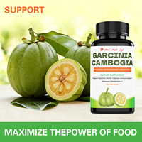 Capsules traditionnelles de tamarin de Malabar (Garcinia Cambogia), complément ayurvédique pour le feu digestif (Agni) et le nettoyage saisonnier
