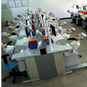 Semplice testa fantasma dentale per la pratica per la scienza medica <span class=keywords><strong>educazione</strong></span> <span class=keywords><strong>e</strong></span> <span class=keywords><strong>formazione</strong></span> odontoiatrica strumento <span class=keywords><strong>di</strong></span> insegnamento - Product Image 5