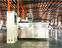 Ligne de production complète d'extrusion de rouleaux de riz, machine de soufflage à double vis pour les snacks Migima