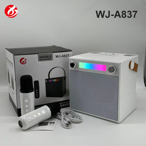 Mini Altoparlante Portatile con Microfono, Speaker Karaoke, Amplificatore Stereo 3D, Super Bass, Lettore Musicale per Sport all'Aperto - Product Image 5