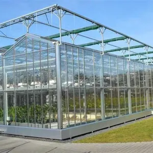 Bán Hot thủy tinh nông nghiệp hydroponics hệ thống thương mại Nhà kính khung để bán