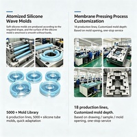 Plaque d'atomisation en silicone liquide OEM personnalisée pour usine, joint en silicone étanche anti-fuite