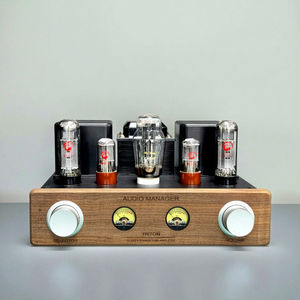 MONA อัพเกรดเครื่องขยายเสียงหลอด EL34 ตัวเครื่องอะลูมิเนียม สายไฟทำมือ ระบบเสียงบริสุทธิ์ Class 2.0 ช่องสัญญาณคู่ ลำโพงไฮไฟแบบวางชั้นวาง สำหรับโฮมเธียเตอร์ - Product Image 2