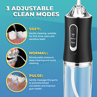 Hydropulseur dentaire portable USB sans fil rechargeable pour le nettoyage des dents