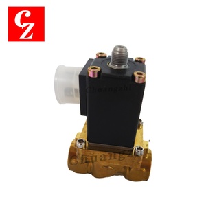 1089062017 Nueva Válvula Solenoide AC22V 17Bar de Alta Calidad para Compresor de Aire Atlas Copco 1089-0620-17 - Product Image 2