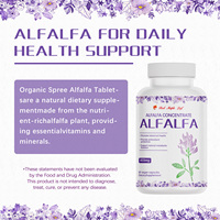 Capsules de concentré d'alfalfa de qualité supérieure, 60 unités, favorisent le métabolisme normal et la protection antioxydante