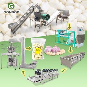 Máquina Eléctrica Neumática Pequeña de Tipo Cadena para Pelar y Clasificar Ajo Seco: Procesamiento y Fabricación a Precio Competitivo - Product Image 1