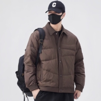 Manteau d'hiver pour homme, marron, à col, style doudoune, boutonné, chaud, avec poignets côtelés, style business casual