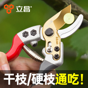 Tijeras de podar Lichang de acero SK-5 para árboles frutales y jardinería - Product Image 4