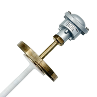 Transmisor de Temperatura Sumergible Anticorrosión PROG-TL-1 -50~260 ℃   Sensor de temperatura PT100 PT1000 Clase A/B de 3/4 hilos 4~20mA con material en contacto con el medio (PTFE/PVDF)