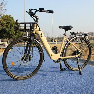 36V 10Ah 350W 500W 도시 Ebike 26 인치 전기 자전거 단계 성인 Ebike 전기 도시 자전거 1000W